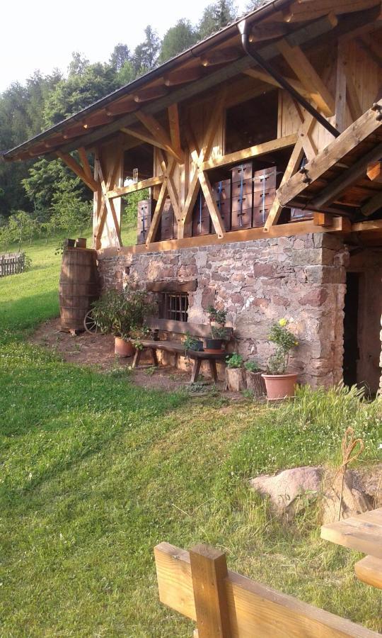 Eichernhof Apartment Apfelbluete Verano Zewnętrze zdjęcie
